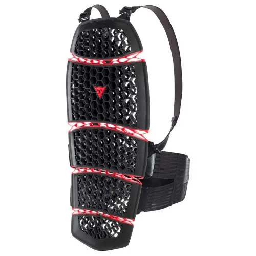 다이네즈 Pro-Armor 2.0 Long 등 보호대 4139458949