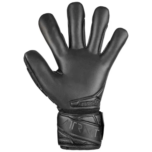 로이쉬 Attrakt Freegel Infinity 골키퍼 장갑 5140928732