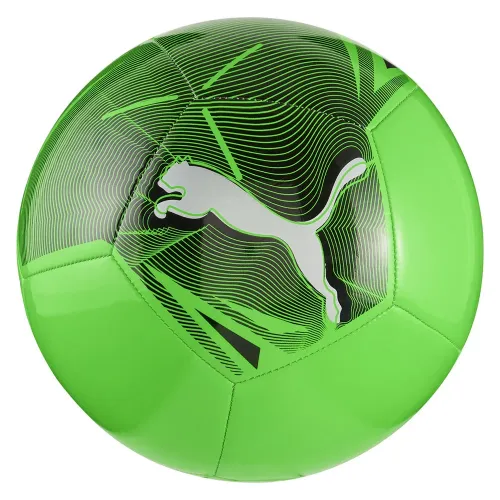 푸마 Big Cat 축구공 5142017218