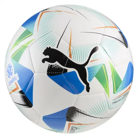 푸마 Cumbre Conmebol Libertadores MS 축구공 5142017235