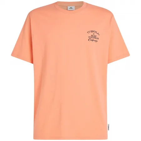 오닐 Beach Chest Print 반팔 티셔츠 9143065041